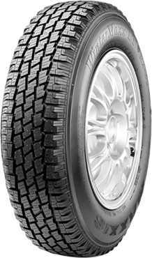 Maxxis MA-W2 Wintermaxx (1)